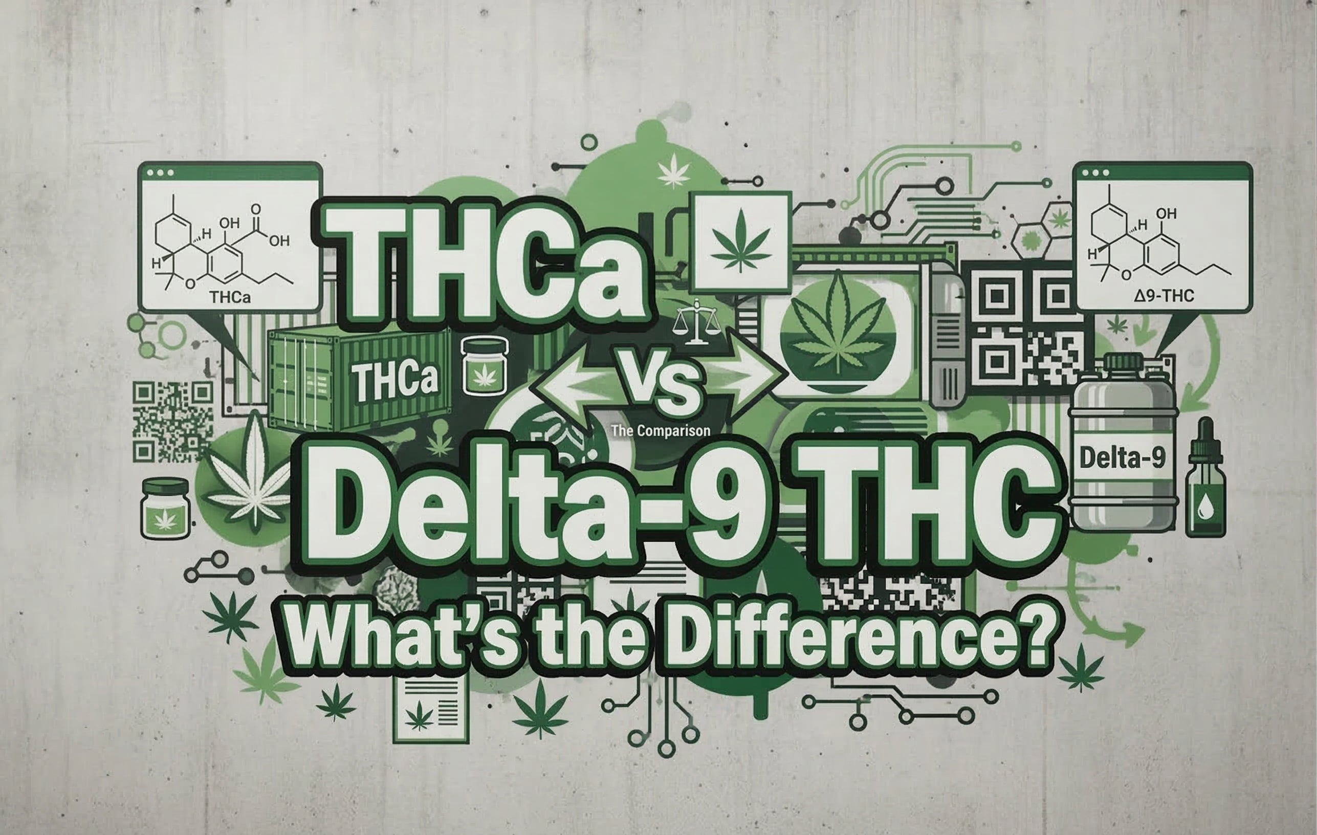 THCa vs Delta-9 THC: What’s the Difference?