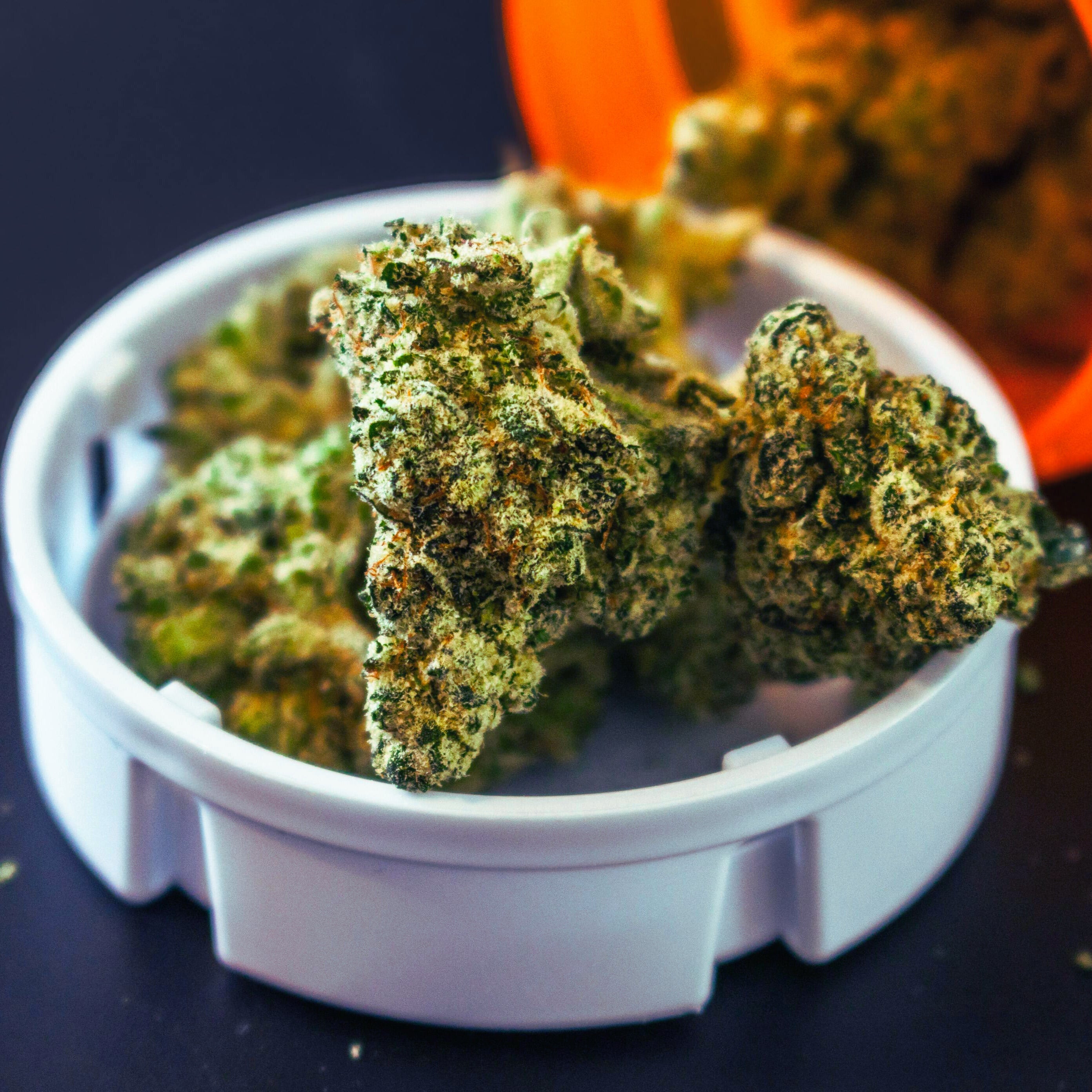 Close-up of premium THCa flower buds in a white container from StreetStem.