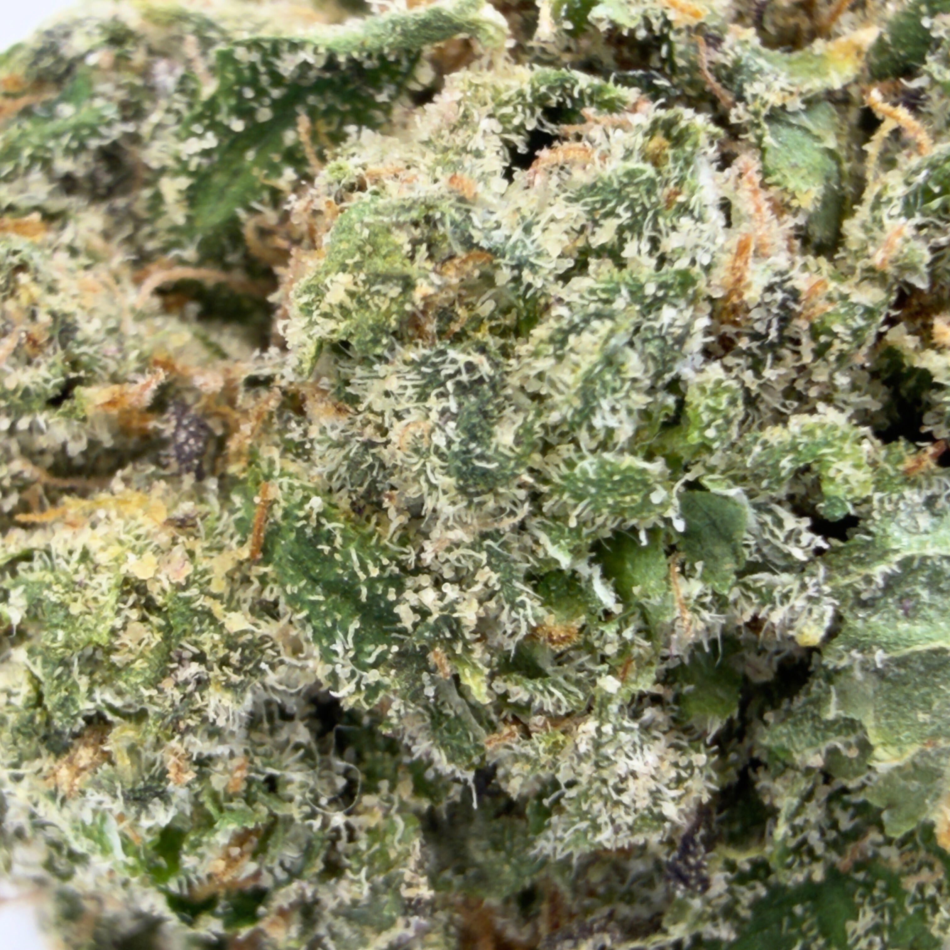 Cherry Soda THCa Flower