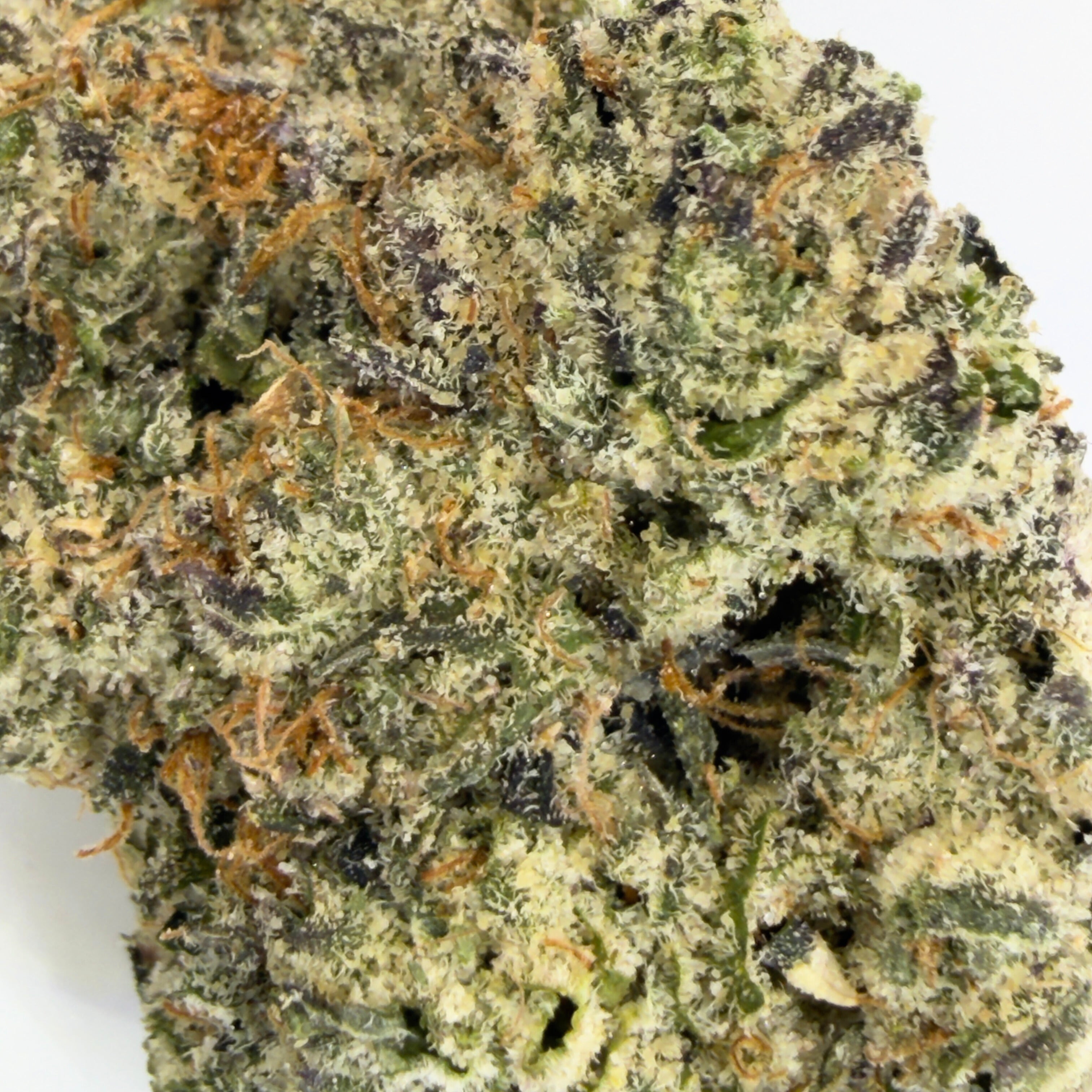 Pink Runtz THCa Flower