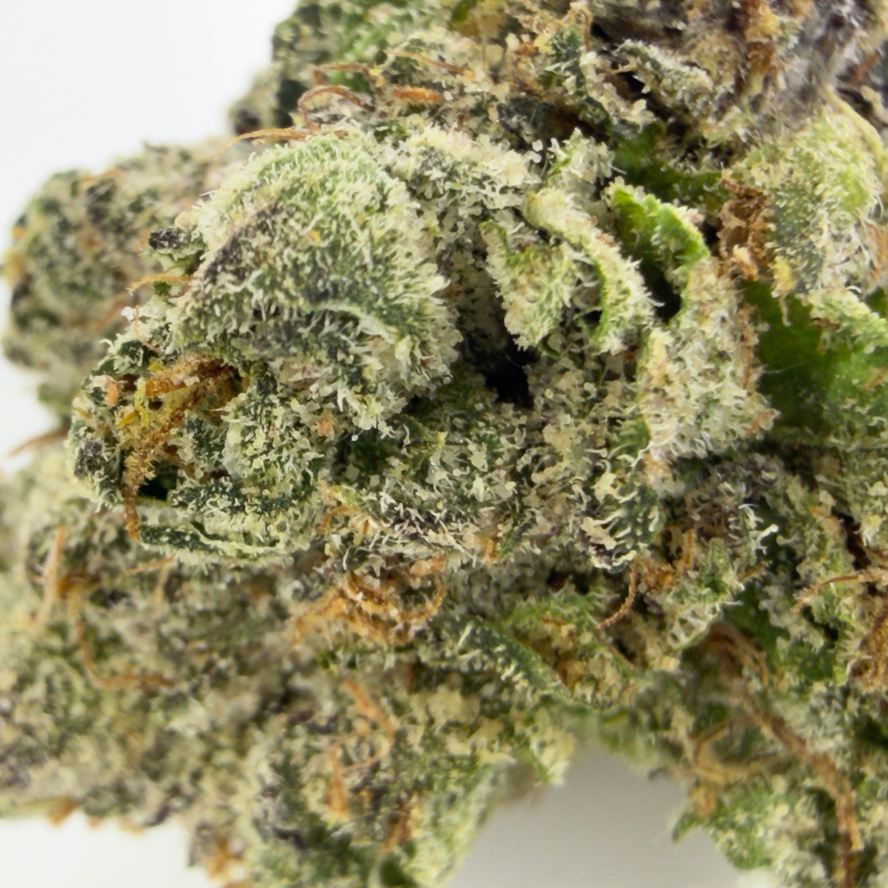 Pink Cert THCa Flower