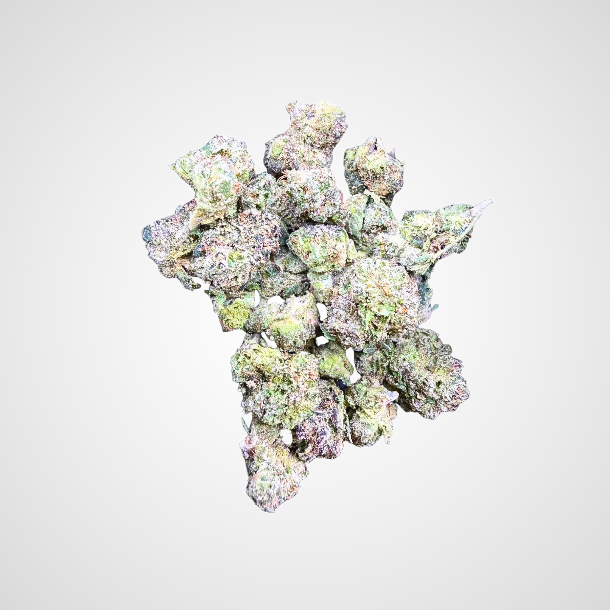 Gelato King THCa Flower (Smalls)