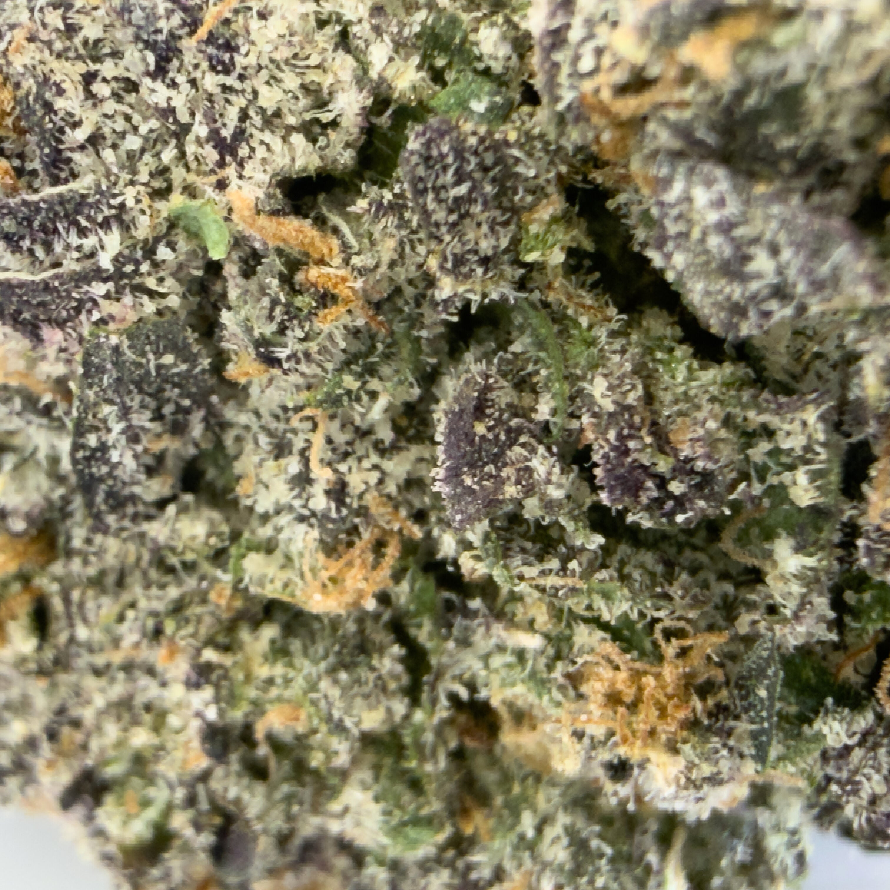 Candy Cane THCa Flower