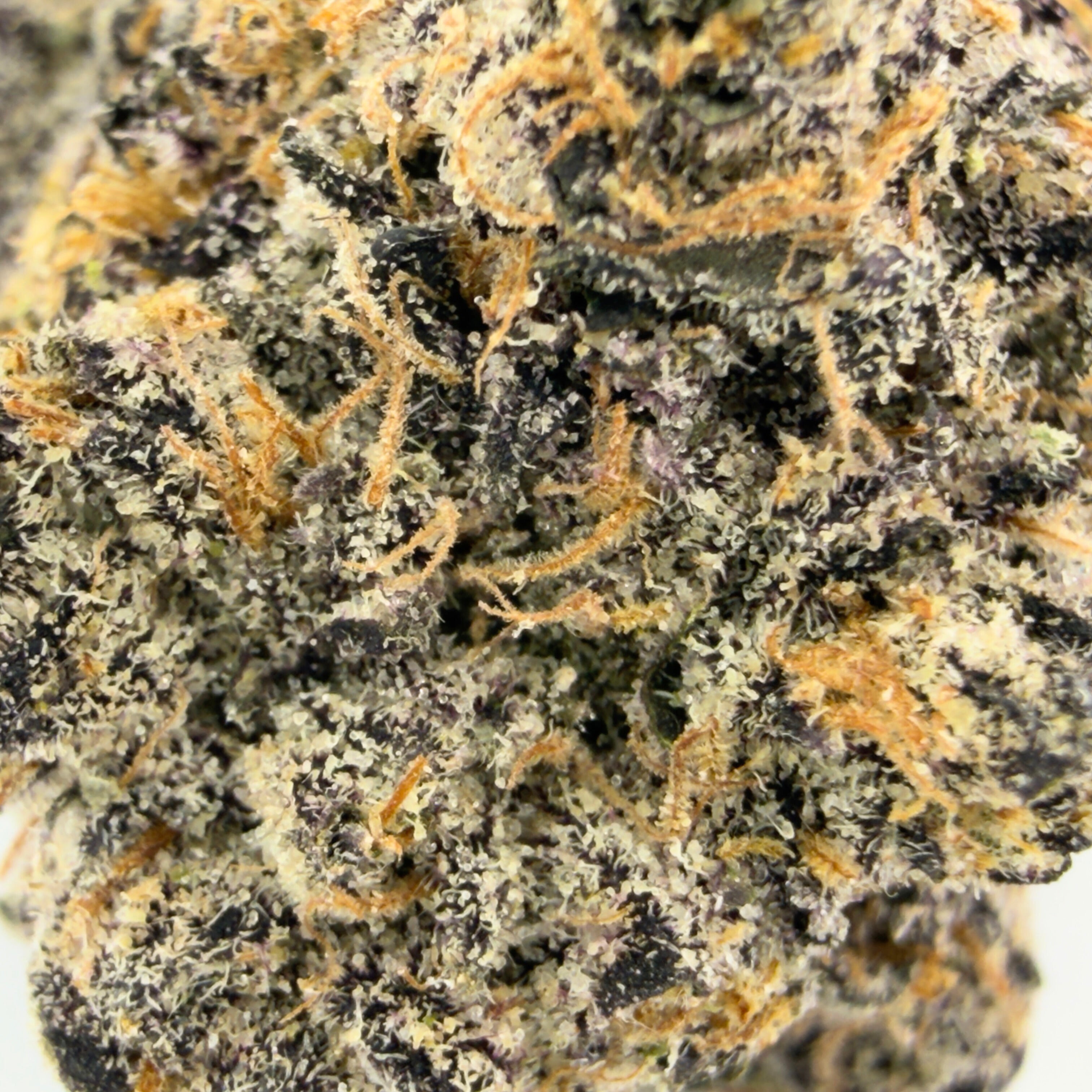 Lemon Cherry Gelato THCa Flower