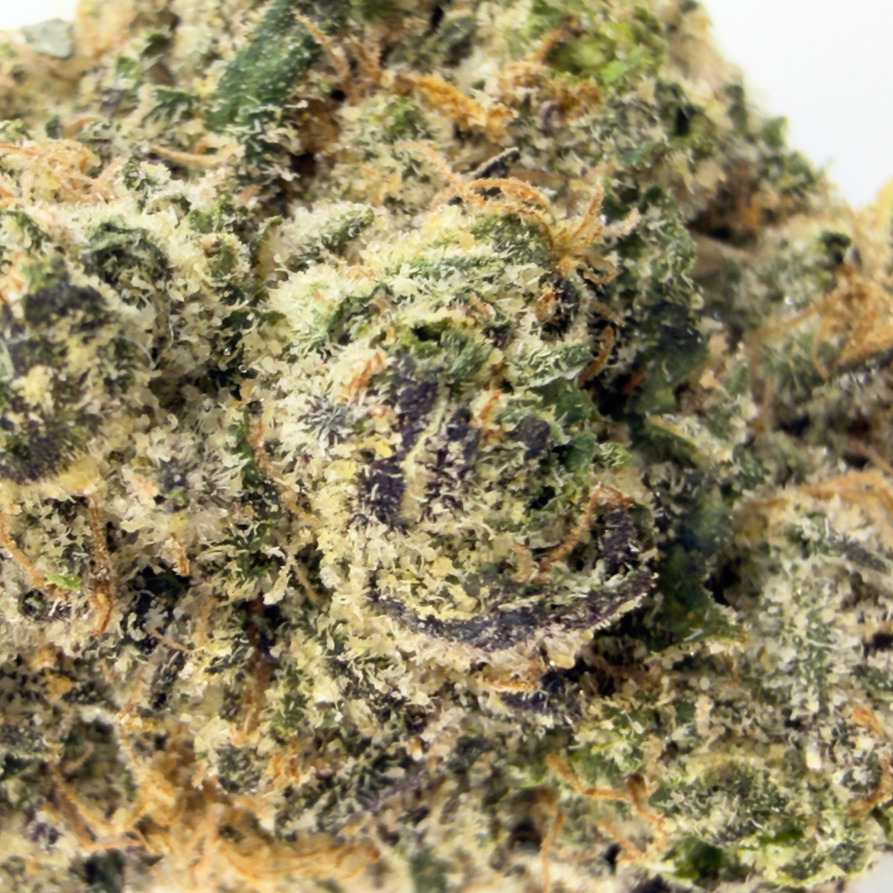 White Runtz THCa Flower